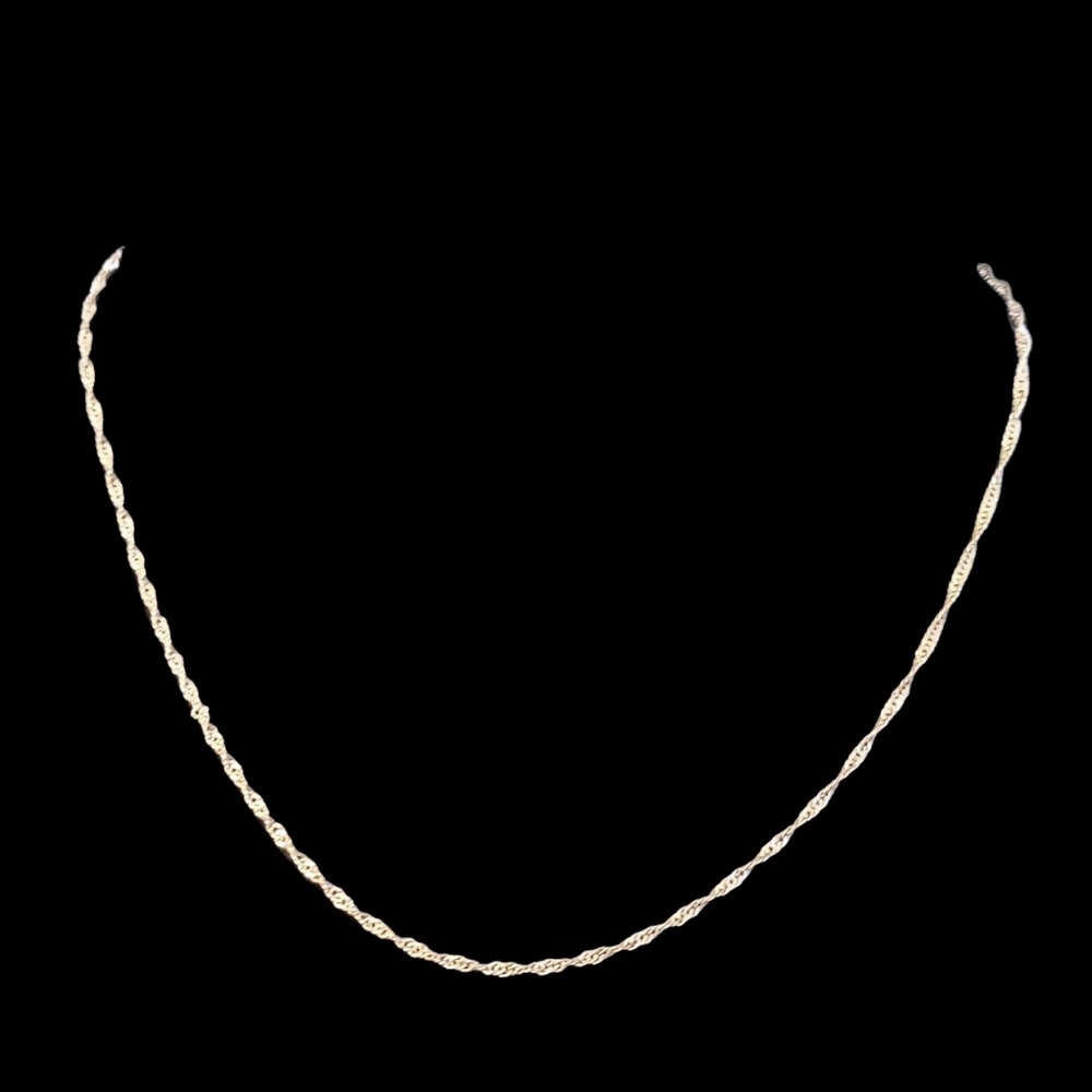 Elegant Silver 2 mm Rope Chain Necklace - Picture 5 of 6